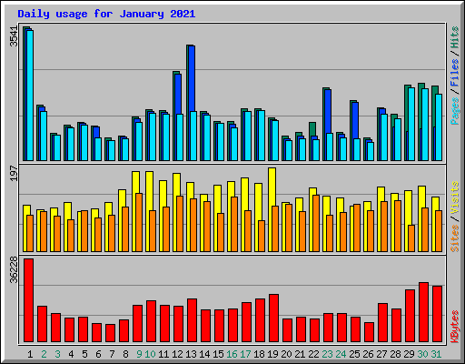 Daily usage for January 2021
