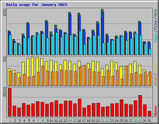 Daily usage for January 2023