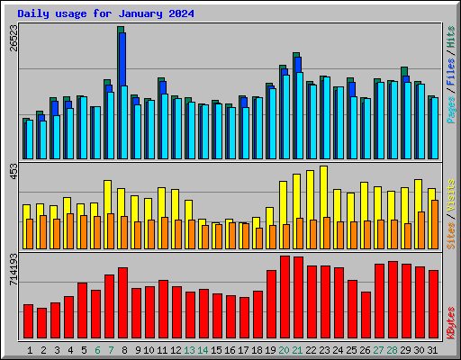 Daily usage for January 2024