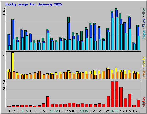 Daily usage for January 2025