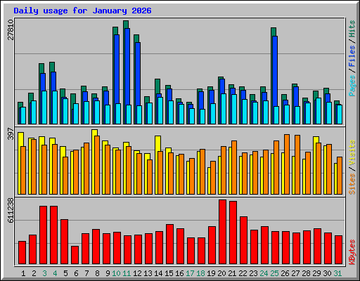 Daily usage for January 2026