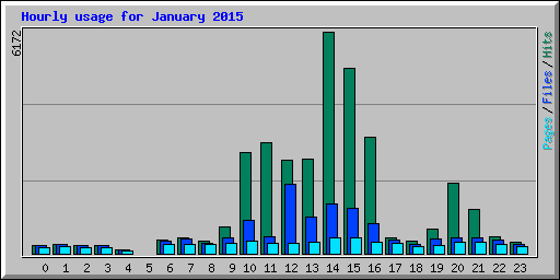 Hourly usage for January 2015