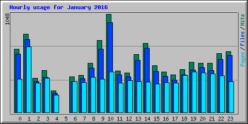 Hourly usage for January 2016