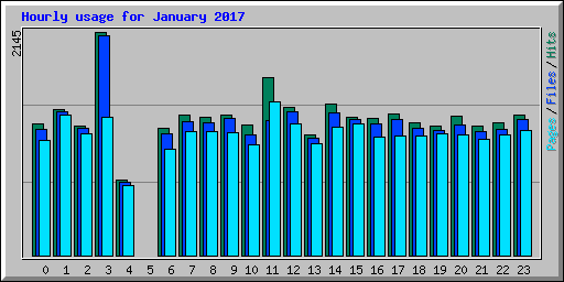Hourly usage for January 2017