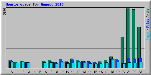Hourly usage for August 2018