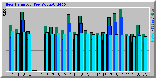 Hourly usage for August 2020