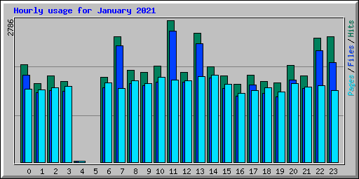 Hourly usage for January 2021