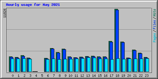 Hourly usage for May 2021