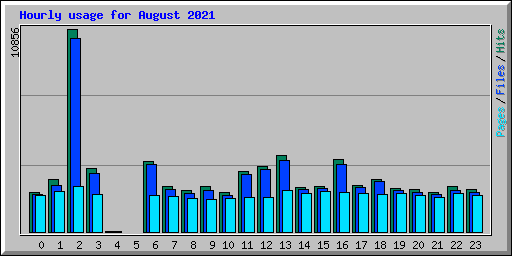 Hourly usage for August 2021