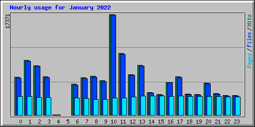 Hourly usage for January 2022
