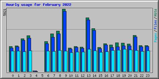 Hourly usage for February 2022