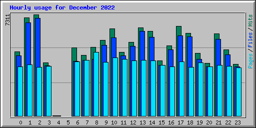 Hourly usage for December 2022
