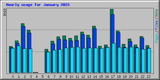Hourly usage for January 2023