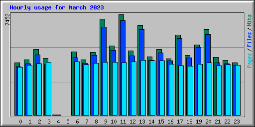 Hourly usage for March 2023