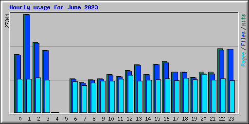 Hourly usage for June 2023