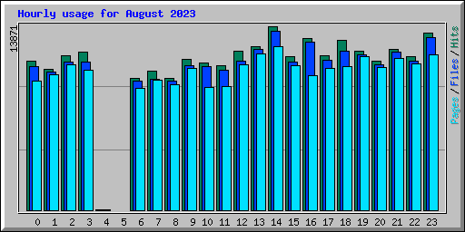 Hourly usage for August 2023