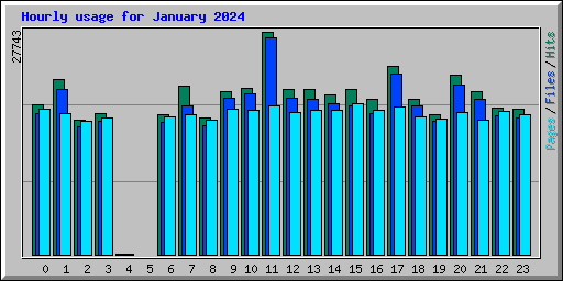 Hourly usage for January 2024