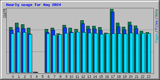 Hourly usage for May 2024