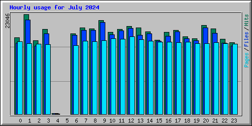 Hourly usage for July 2024