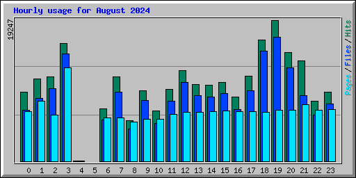 Hourly usage for August 2024