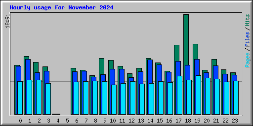 Hourly usage for November 2024