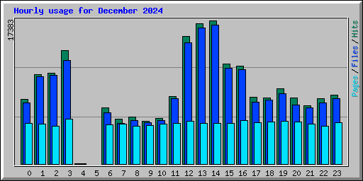 Hourly usage for December 2024