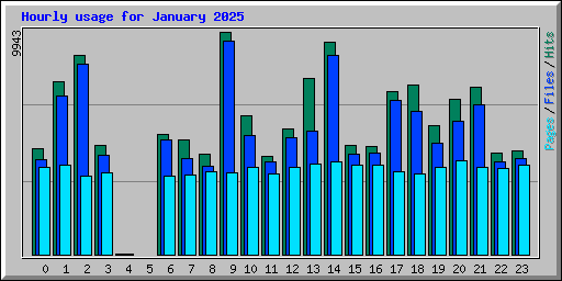 Hourly usage for January 2025