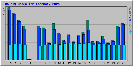 Hourly usage for February 2025