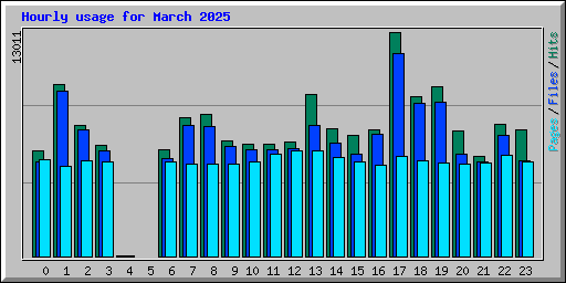 Hourly usage for March 2025