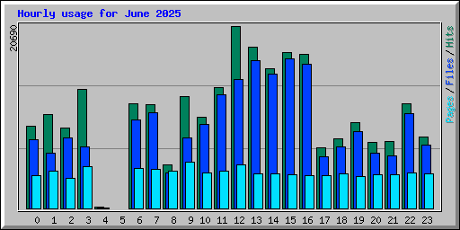 Hourly usage for June 2025
