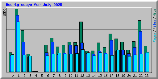 Hourly usage for July 2025