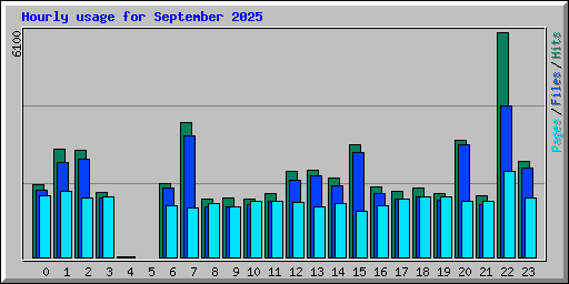 Hourly usage for September 2025