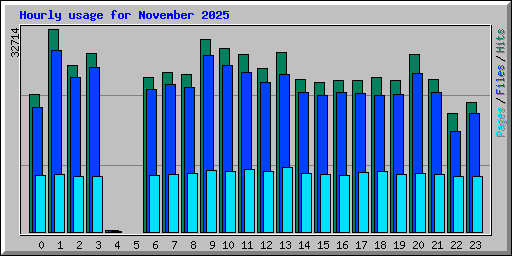 Hourly usage for November 2025