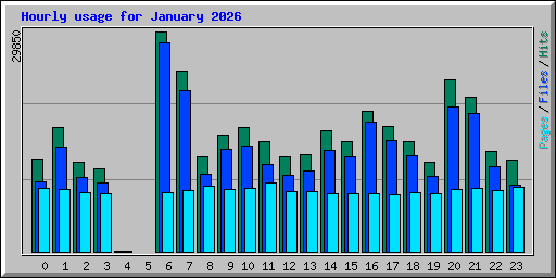 Hourly usage for January 2026