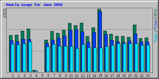 Hourly usage for June 2026