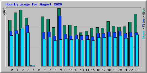 Hourly usage for August 2026